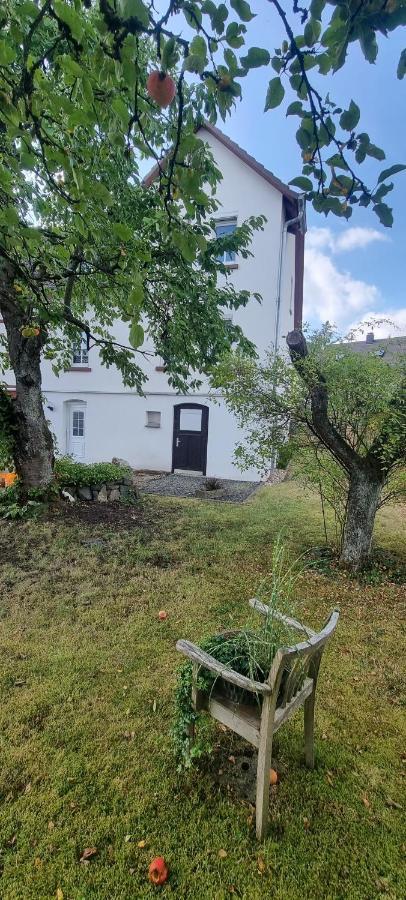Ferienhaus Schuldienersch Биденкопф Экстерьер фото